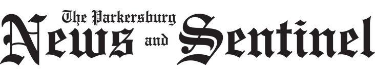 website logo